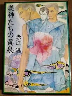 ヤスヒサケン様 リクエスト 2点 まとめ商品