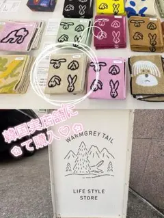 Item thumbnail for item fb7cffe1-a935-40c5-a2a8-cef00c51c07f