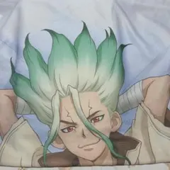ドクスト Dr.STONE ドクターストーン あさぎりゲン 抱き枕カバー 抱き