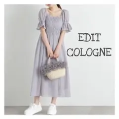 EDIT COLOGNE シャーリング袖刺繍レースワンピース ライトブルーのサムネイル