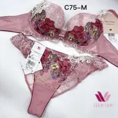 ワコール リボンブラ 胸もとフィットながもちC75-M