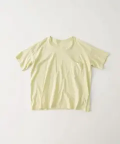 ネストローブ オーガニックコットン天竺BIG Tee Tシャツ　レモンのサムネイル