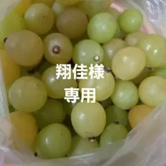 翔佳様専用