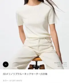 3dメリノリブクルーネックセーター5分袖