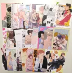 小冊子・リーフレット×30　商業BLコミック　まとめ売り　アニメイト限定特典