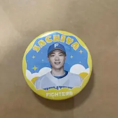 北海道日本ハムファイターズ 缶バッジ SACHIYA