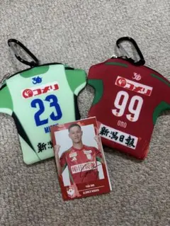 2026年最新】小野裕二 アルビレックスの人気アイテム - メルカリ