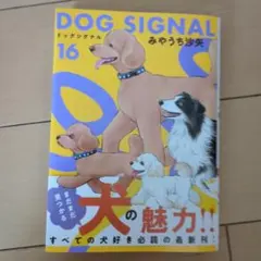 DOG SIGNAL 16