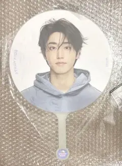 straykids 6期 ペンミ IMAGE PICKET うちわ ヒョンジン - メルカリ