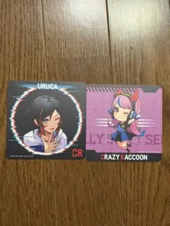 CRAZY RACCOON カード 2枚