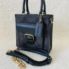 美品】COACH ウィロウ 16 2way ショルダーバッグ ハンドバッグ - メルカリ