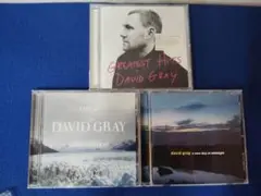 中古ＣＤ　3枚まとめて　デイヴィッド・グレイ 　DAVID・GRAY