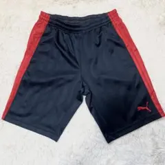 【PUMA】プーマ　Y2K ハーフパンツ　ストライプ　日本製　サイズM