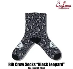 Item thumbnail for item 9b4ee5bc-944a-4b42-a677-4a19aef5a00b