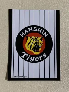 Item thumbnail for item f3f9e213-b97a-4156-abc9-52b87d293ca5