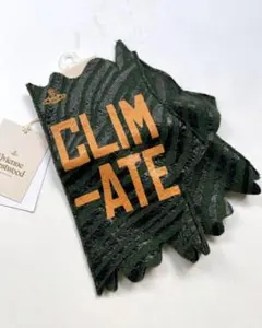 Item thumbnail for item 62483351-89fd-4400-82a0-d47c7085d4aa