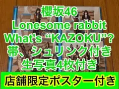 櫻坂46 Lonesome rabbit What's “KAZOKU” 34のサムネイル