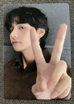 V テヒョン　テテ　BTS ARMY MEMBERSHIP GIFT ミニフォト