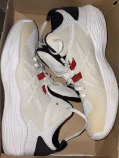 アシックスのバスケットボールシューズ、NOVA FLOW 23.5