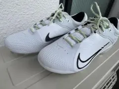 Item thumbnail for item d10bdcf0-0d80-409c-a07c-945208e93236