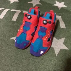 Reebok INSTAPUMP FURY "ORIENTAL 激レア