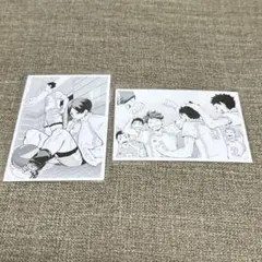 ハイキュー 10th クロニクル 思い出スナップフォトカード 井闥山