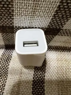 Apple純正充電器