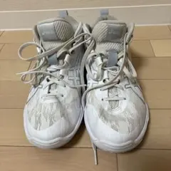 Item thumbnail for item 86e06c76-1ca3-4840-bc66-eae3ae50a550