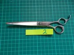 Item thumbnail for item cff875a7-400f-4e38-b6b9-0d7d7c2322ed