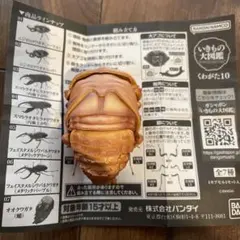 オオクワガタ カプセルトイ