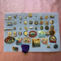 〜ライオンズクラブ　バッチ＆ネクタイピンセット〜