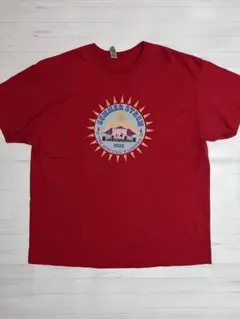 SUMMER STRUM Tシャツ