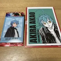 サカモトデイズ　赤尾晶　ターゲットブロマイド　ツーピースブロマイド