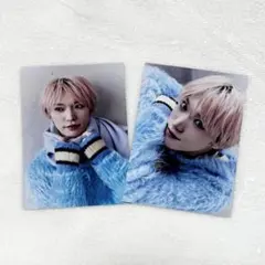 パンダドラゴン　たいが