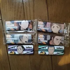 ハイキュー!! キャラクター ピンバッジ 6個セット