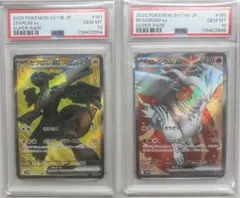 PSA10 連番 レシラムex SR ゼクロムex SR