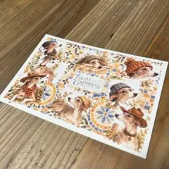 イタリアングレイハウンド ポストカード ハンドメイド メッセージカード 犬