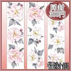 Item thumbnail for item deee3593-0ac0-450e-adf2-7c4763e8f7c0