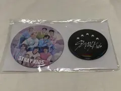 Stray Kids スキズ　アプグレ特典　缶バッジ