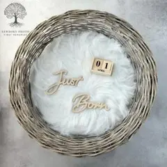 みぃ様専用ページ　大きいグレーと茶色のカゴ　ニューボーンフォト