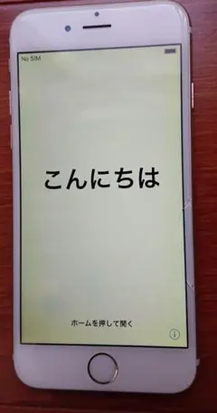 Apple iPhone6 本体