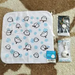 Item thumbnail for item 7f800948-6be2-4cc5-8f07-80ac266d43c7