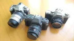 Item thumbnail for item 25fb6303-6ba5-4a19-aa85-d7806519745b