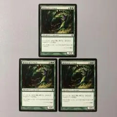 【ご確認用】統率者2013 貪欲なるベイロス 英語 1枚　MTG EX]貪欲なるベイロス/Ravenous Baloth《英語》【ONS】