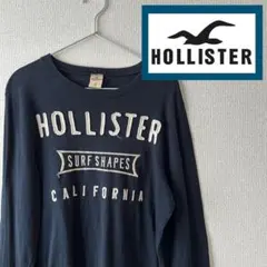 HOLLISTER ロゴロンT メンズ レディース