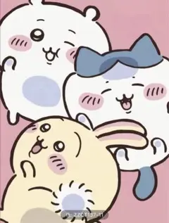 ぴーちゃん 即購入OK！様 リクエスト 2点 まとめ商品