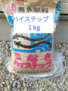 林兼産業 ハイステップ 1kg うなぎの餌 ウナギの餌 鰻の餌 練り餌 稚魚