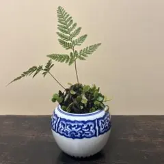 器、鉢カバー、小壺、、明治〜大正