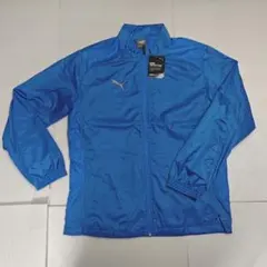 Item thumbnail for item 288a65cc-76b5-4655-97b2-a401c96181e1