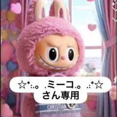 ☆*:.。.ミーコ.。.:*☆さん専用♡13点♡おまとめページ